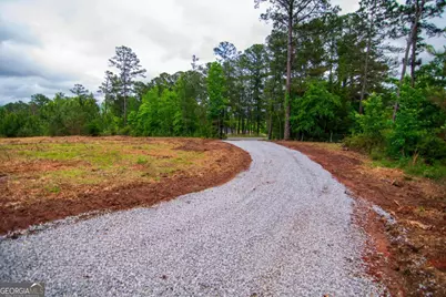 Tract 2 - 0 St. Paul Church Road, Shiloh, GA 31826 - Photo 21