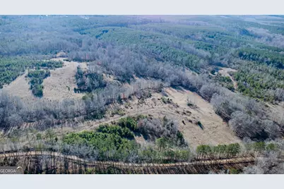 Tract 2 - 0 St. Paul Church Road, Shiloh, GA 31826 - Photo 15