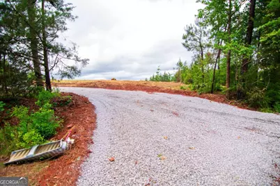 Tract 2 - 0 St. Paul Church Road, Shiloh, GA 31826 - Photo 25