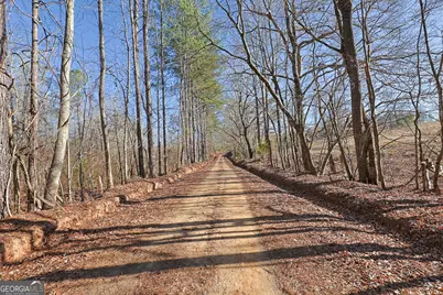 Tract 2 - 0 St. Paul Church Road, Shiloh, GA 31826 - Photo 5