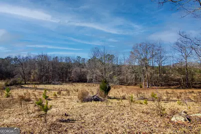 Tract 2 - 0 St. Paul Church Road, Shiloh, GA 31826 - Photo 3