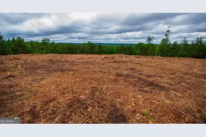 Tract 6 - 0 Chestnut Grove Road, Shiloh, GA 31826 - Photo 3