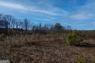 Tract 6 - 0 Chestnut Grove Rd, Shiloh, GA 31826 - Photo 1