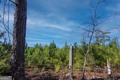 Tract 6 - 0 Chestnut Grove Road, Shiloh, GA 31826 - Photo 3