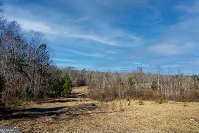 Tract 6 - 0 Chestnut Grove Road, Shiloh, GA 31826 - Photo 5