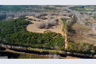 Tract 6 - 0 Chestnut Grove Road, Shiloh, GA 31826 - Photo 19