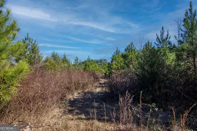 Tract 6 - 0 Chestnut Grove Road, Shiloh, GA 31826 - Photo 9