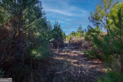 Tract 6 - 0 Chestnut Grove Road, Shiloh, GA 31826 - Photo 11