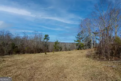 Tract 6 - 0 Chestnut Grove Road, Shiloh, GA 31826 - Photo 7