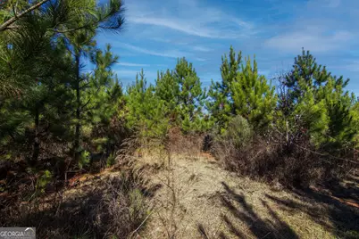Tract 6 - 0 Chestnut Grove Road, Shiloh, GA 31826 - Photo 15