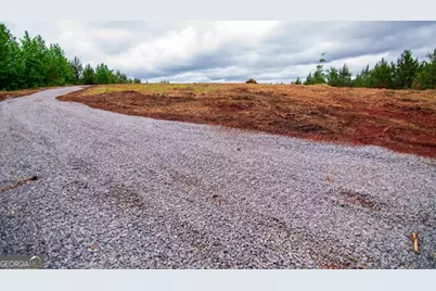 Tract 6 - 0 Chestnut Grove Road, Shiloh, GA 31826 - Photo 25
