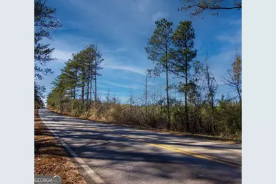 Tract 6 - 0 Chestnut Grove Road, Shiloh, GA 31826 - Photo 17