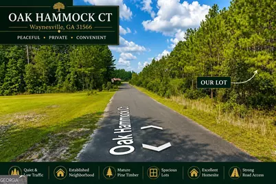0 Oak Hammock Court, Waynesville, GA 31566 - Photo 5