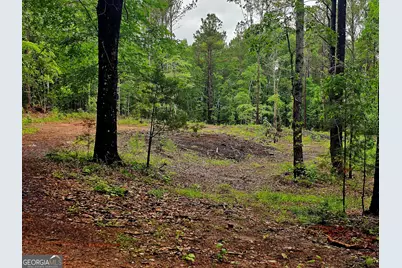 0 School House Hill Road, Franklin, GA 30217 - Photo 5