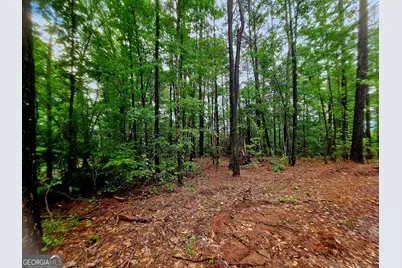 0 School House Hill Road, Franklin, GA 30217 - Photo 7