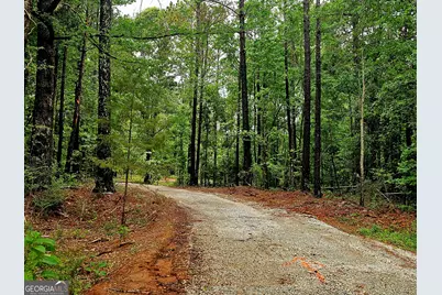 0 School House Hill Road, Franklin, GA 30217 - Photo 1