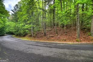 300 River Rd, Cherrylog, GA 30522 - Photo 87