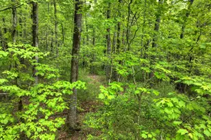 300 River Rd, Cherrylog, GA 30522 - Photo 81