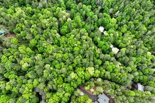 300 River Rd, Cherrylog, GA 30522 - Photo 113