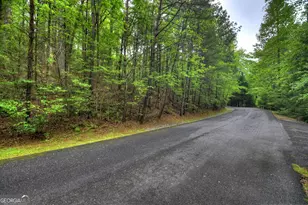 300 River Rd, Cherrylog, GA 30522 - Photo 117