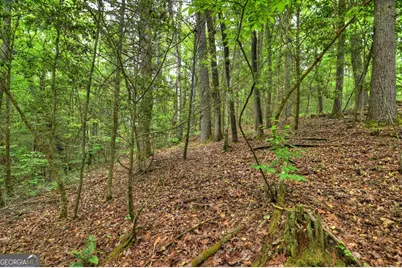 300 River Road, Cherrylog, GA 30522 - Photo 85