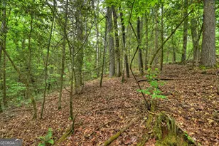 300 River Rd, Cherrylog, GA 30522 - Photo 85