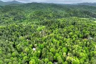 300 River Rd, Cherrylog, GA 30522 - Photo 95