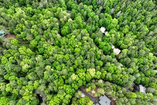 300 River Rd, Cherrylog, GA 30522 - Photo 77