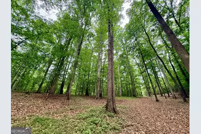 8474 Holly Springs Road, Maysville, GA 30558 - Photo 141