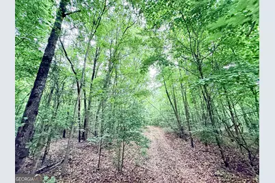 8474 Holly Springs Road, Maysville, GA 30558 - Photo 193