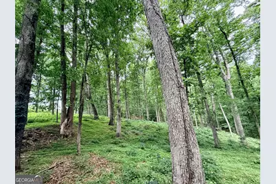 8474 Holly Springs Road, Maysville, GA 30558 - Photo 147