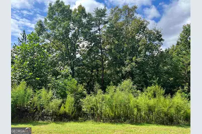 Lot 187 Northshore Drive, Cleveland, GA 30528 - Photo 5