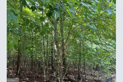 Lot 187 Northshore Drive, Cleveland, GA 30528 - Photo 3