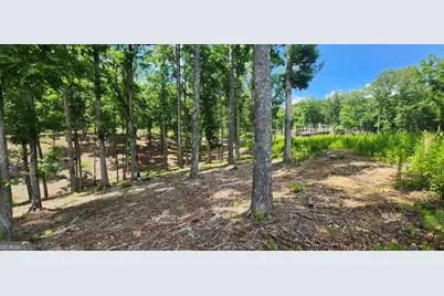 Lt 106 Split Creek Road #106, Morganton, GA 30560 - Photo 3