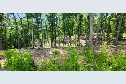 Lt 106 Split Creek Road #106, Morganton, GA 30560 - Photo 1