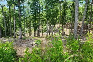 Lt 106 Split Creek Rd, Morganton, GA 30560 - Photo 1