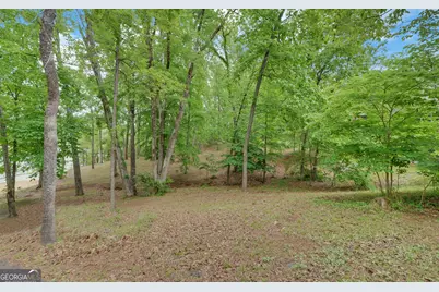 371 Shorewood Circle, Toccoa, GA 30577 - Photo 51