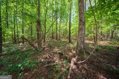 0 Old Haul Road, Dry Branch, GA 31020 - Photo 13