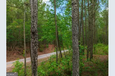 0 Old Haul Road, Dry Branch, GA 31020 - Photo 5
