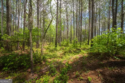 0 Old Haul Road, Dry Branch, GA 31020 - Photo 11