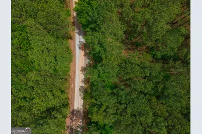 0 Old Haul Road, Dry Branch, GA 31020 - Photo 3