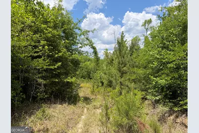 011 Long Branch Rd, Toomsboro, GA 31090 - Photo 11