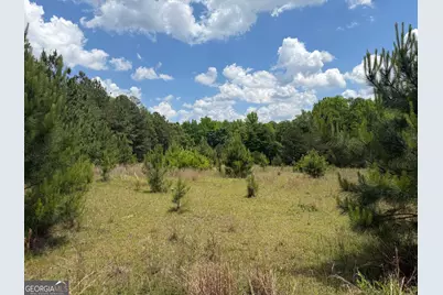 011 Long Branch Rd, Toomsboro, GA 31090 - Photo 7