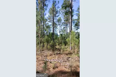 0 Reedy Branch Road, Statesboro, GA 30458 - Photo 17