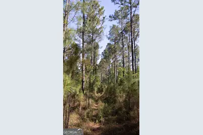 0 Reedy Branch Road, Statesboro, GA 30458 - Photo 15