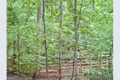 366 Dawson Manor Drive, Dawsonville, GA 30534 - Photo 27