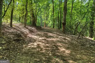 200 Fowler Rd, Ellijay, GA 30536 - Photo 35