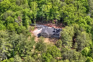 200 Fowler Rd, Ellijay, GA 30536 - Photo 41