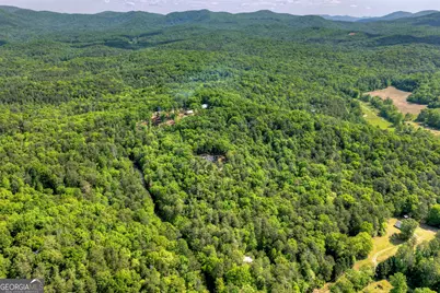 200 Fowler Road, Ellijay, GA 30536 - Photo 39