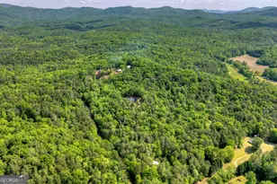 200 Fowler Rd, Ellijay, GA 30536 - Photo 39